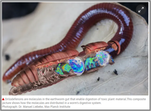 Earthworms’ ability to digest poisons