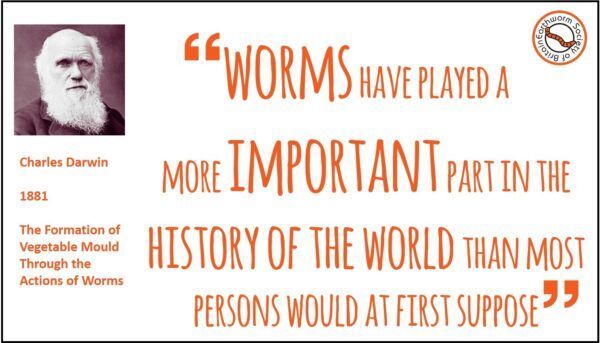 Charles Darwin Quote