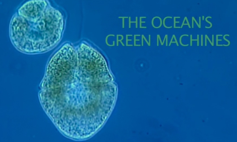 The Oceans Green Machines