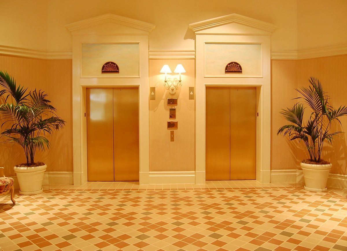 Two gold elevators in a hallway with potted plants.