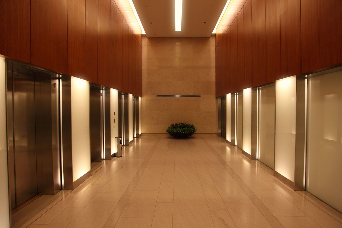 A long hallway with elevators and a plant in the middle.