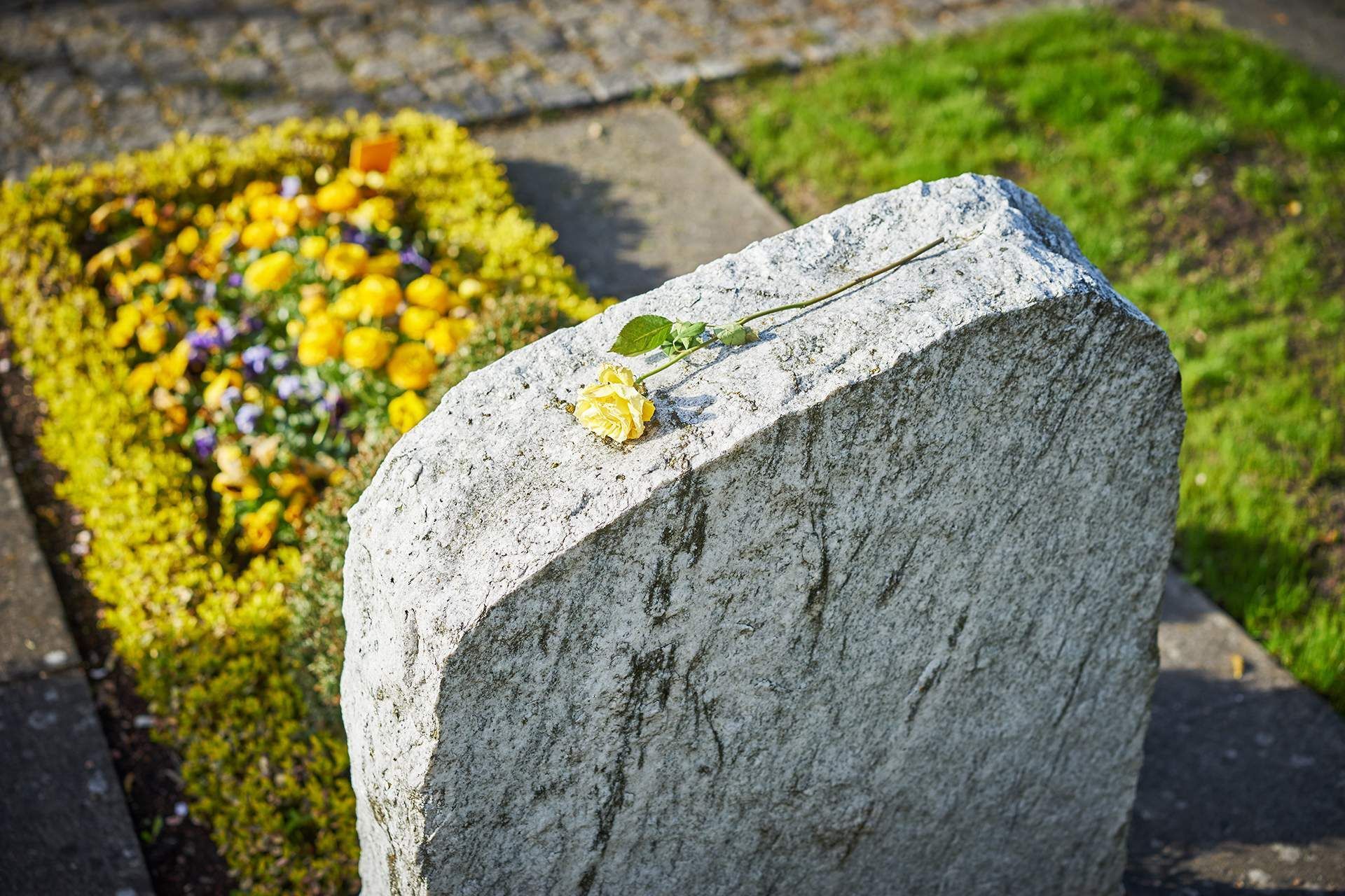 A grave with flowers and a flower on a gravestone in a cemetery.