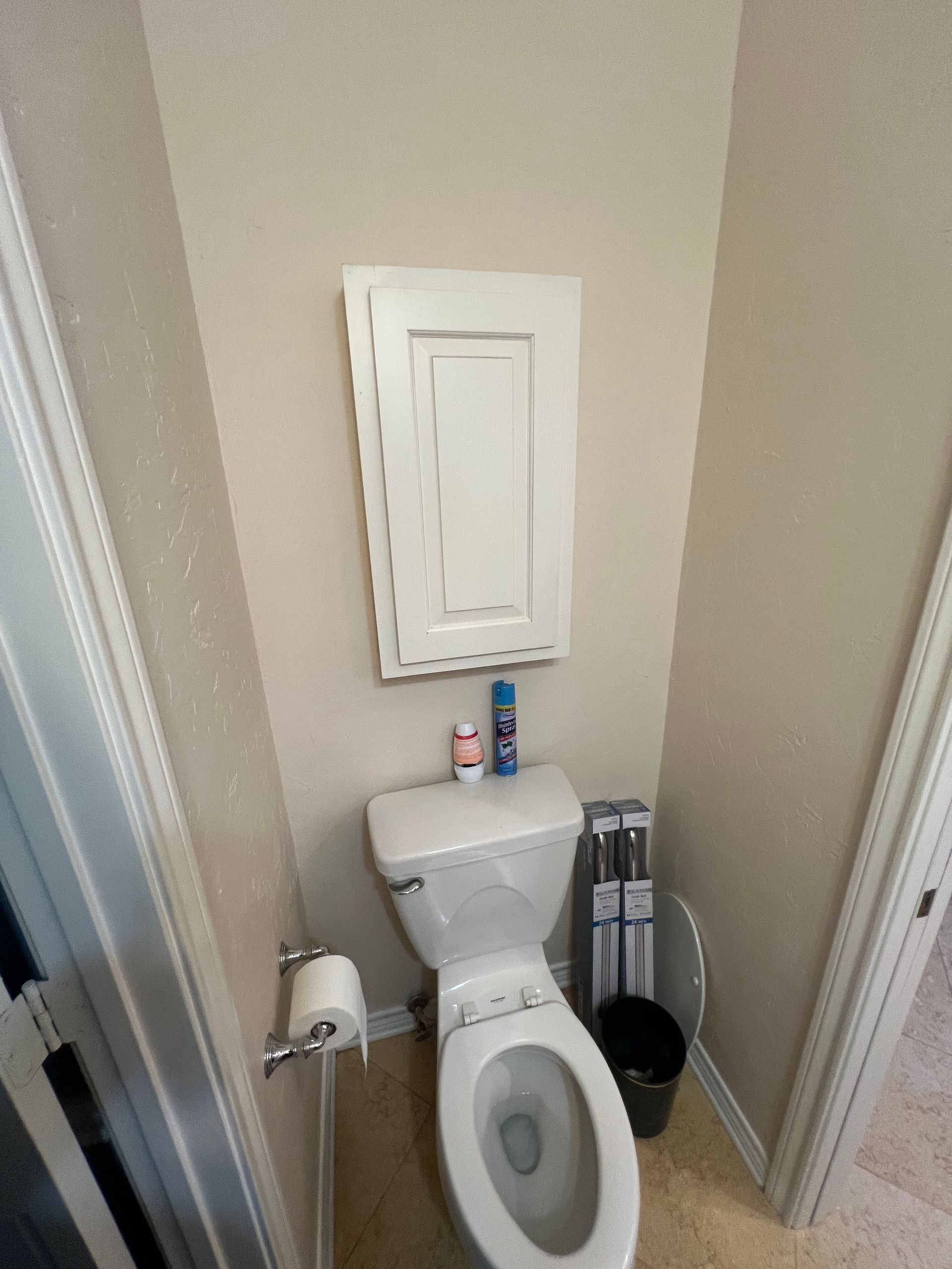 Small bathroom with a toilet, wall cabinet, toilet paper holder, and a plunger in the corner.