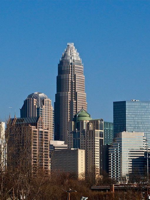 A city skyline with a few trees in the foreground