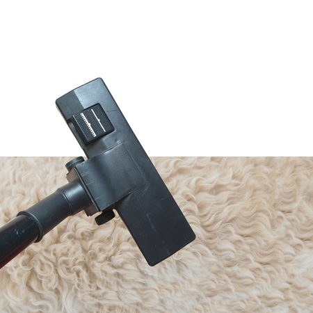 carpet cleaning services