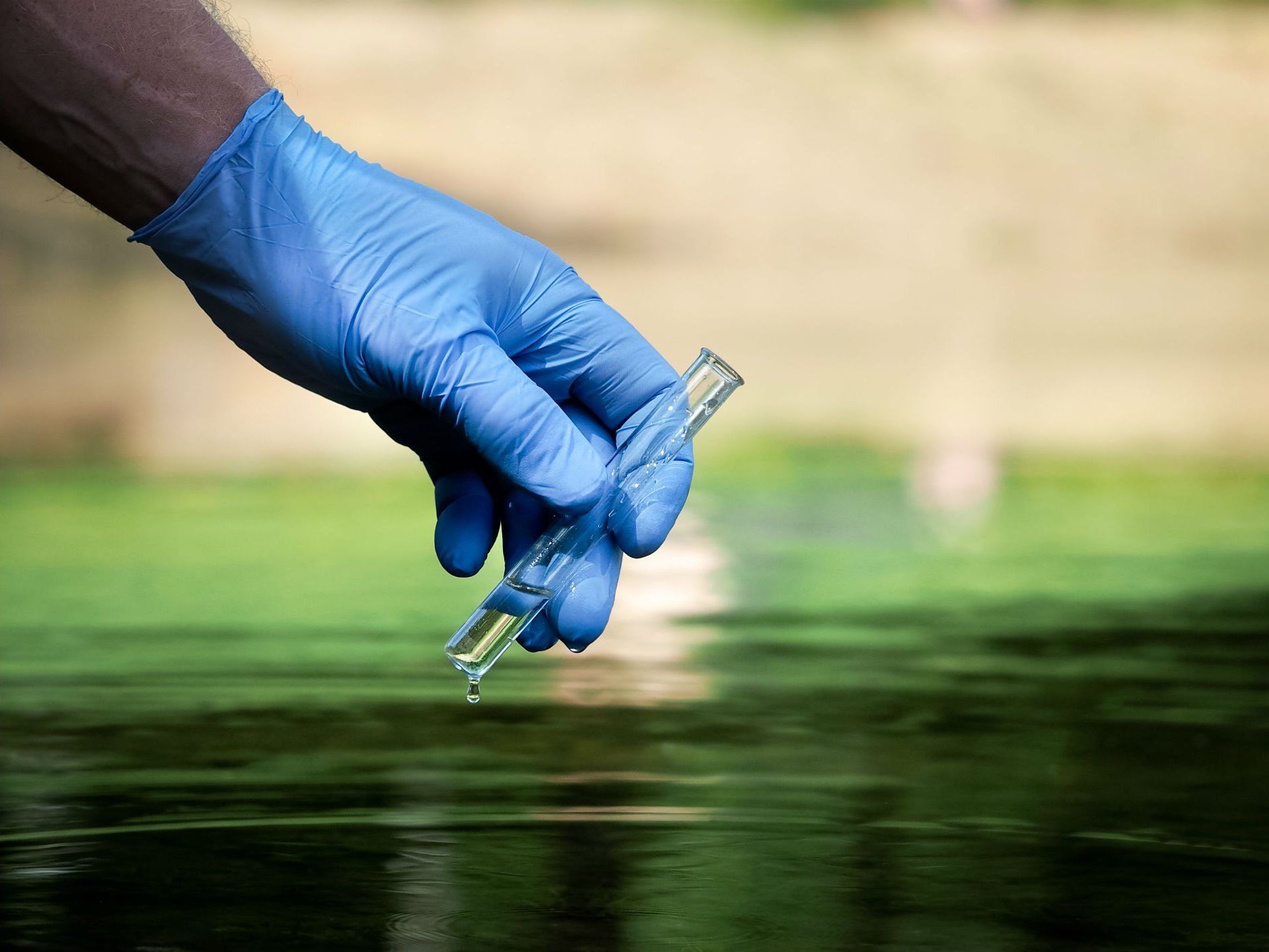 Una persona con un guanto blu tiene una provetta sopra uno specchio d'acqua.