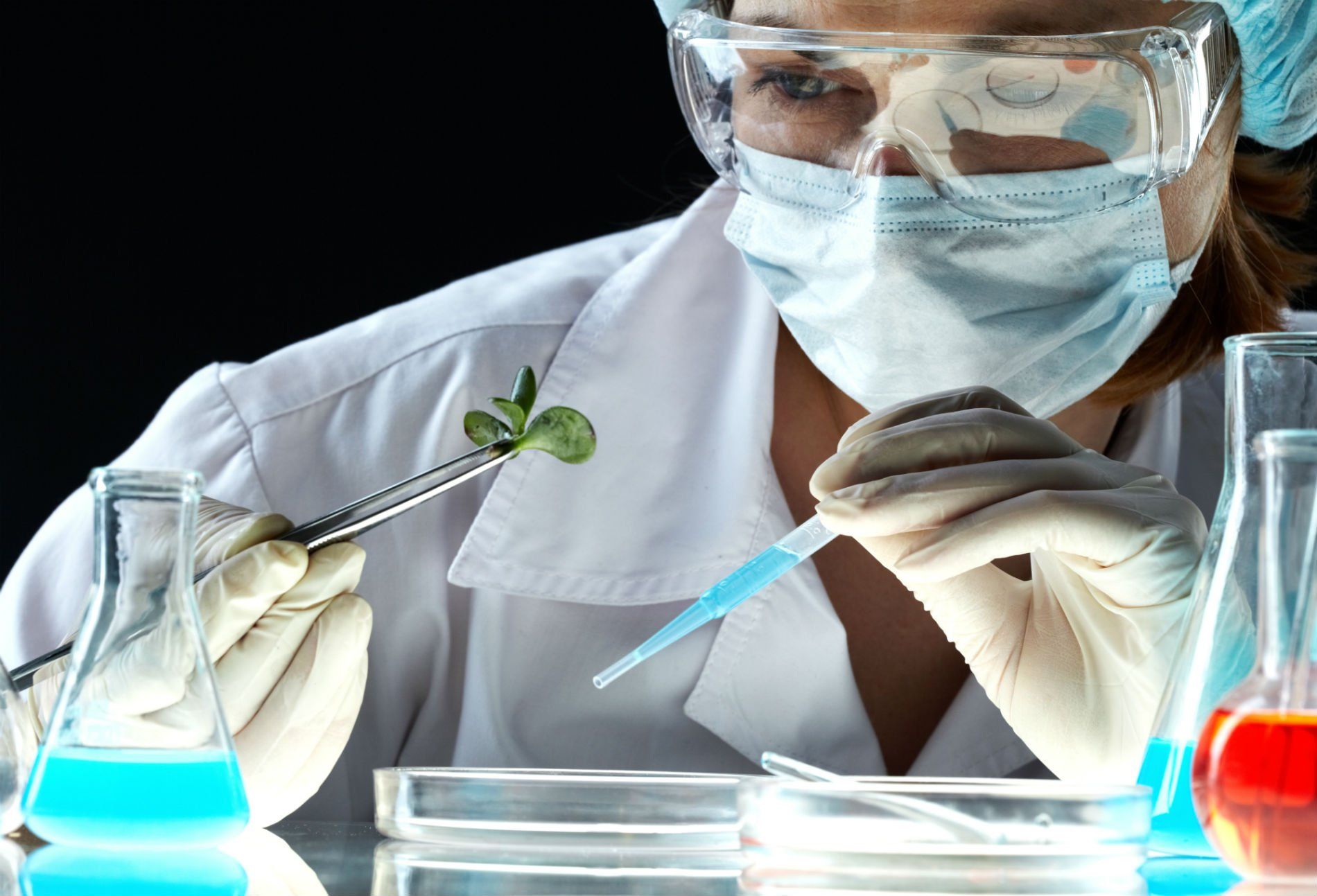 Uno scienziato che indossa una maschera e occhiali protettivi tiene una pianta con una pinzetta