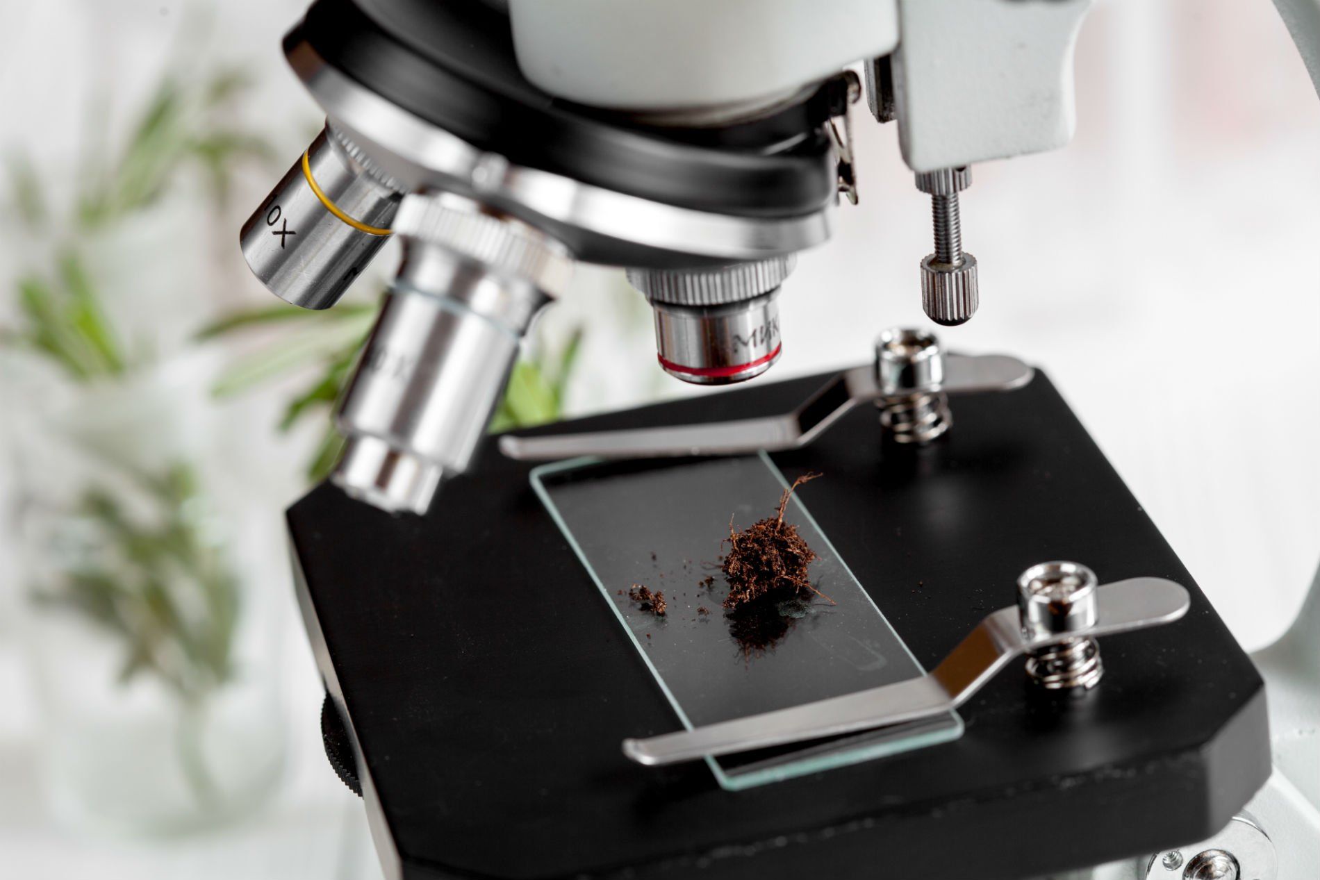 Un primo piano di un microscopio con un campione su un vetrino