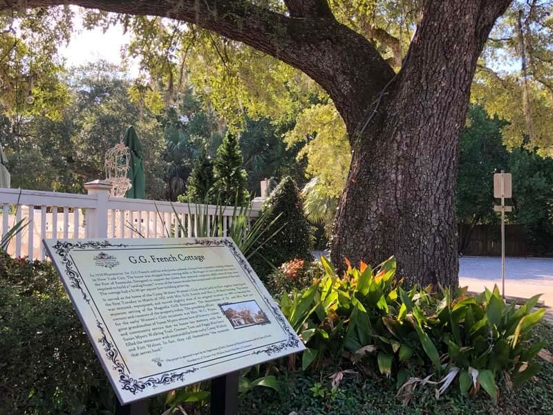 Informational sign beside a large tree and lush plants in a park-like setting