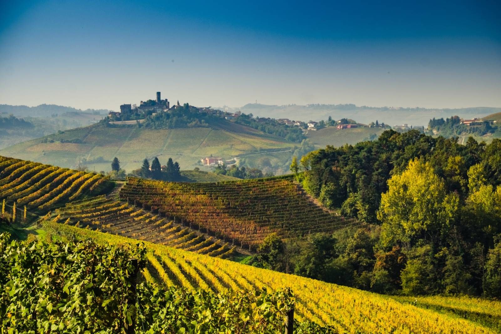 Nella campagna italiana, sotto un cielo azzurro e limpido, si estendono vigneti dalle foglie autunnali dalle sfumature dorate che si stagliano verso un borgo collinare.
