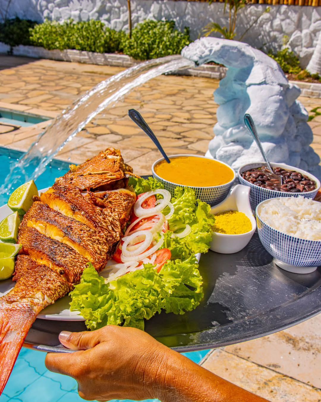 A person is holding a plate of food next to a pool.