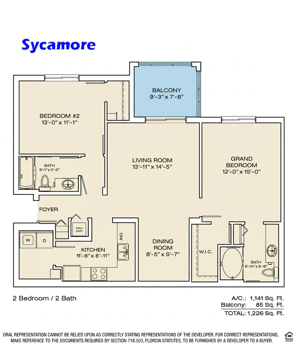 sycamore