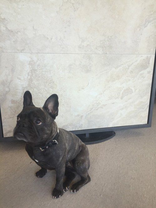 What they can do for you ! Portia finds Noosa Tiles and Fireplaces