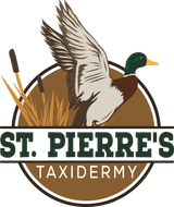 St. Pierre's Taxidermy
