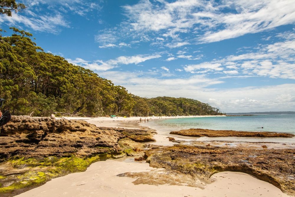 Sandy Beach With Trees, Blue Sky and Water — Lake Macquarie Mobile Locksmiths in Murray Beach, NSW