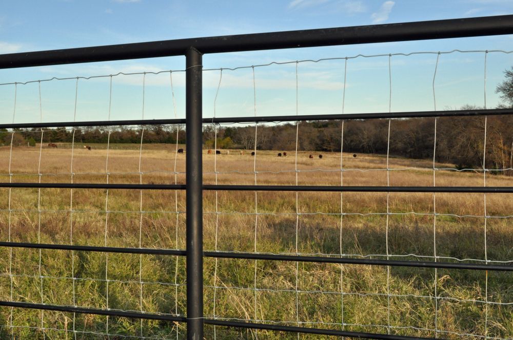 A Barbed Wire Fence Surrounds A Grassy Field — Johnny Farming Company In Ooralea, QLD