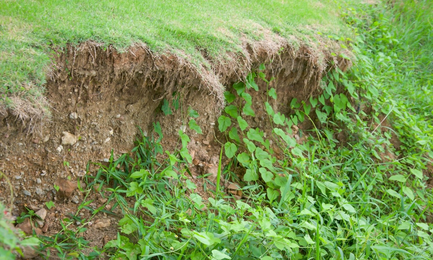 What Erosion Control Is Important Heritage Forestry Mulching
