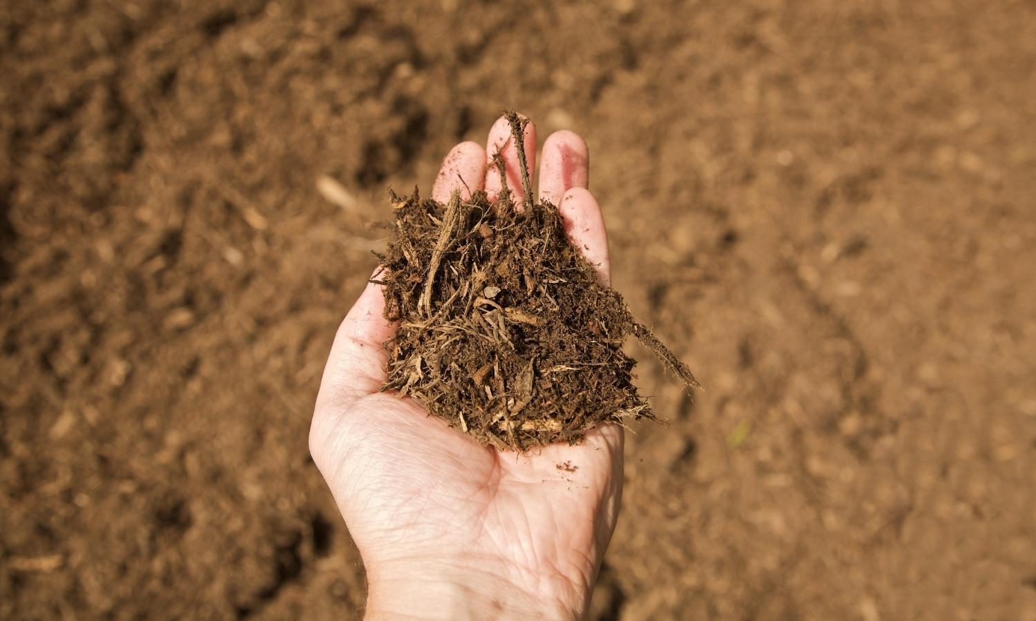 Forestry Mulching Service Near Me