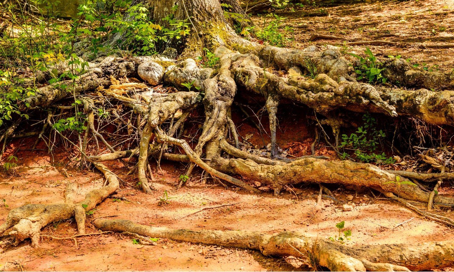 Erosion Control: Why It Matters Erosion Control: Why It Matters