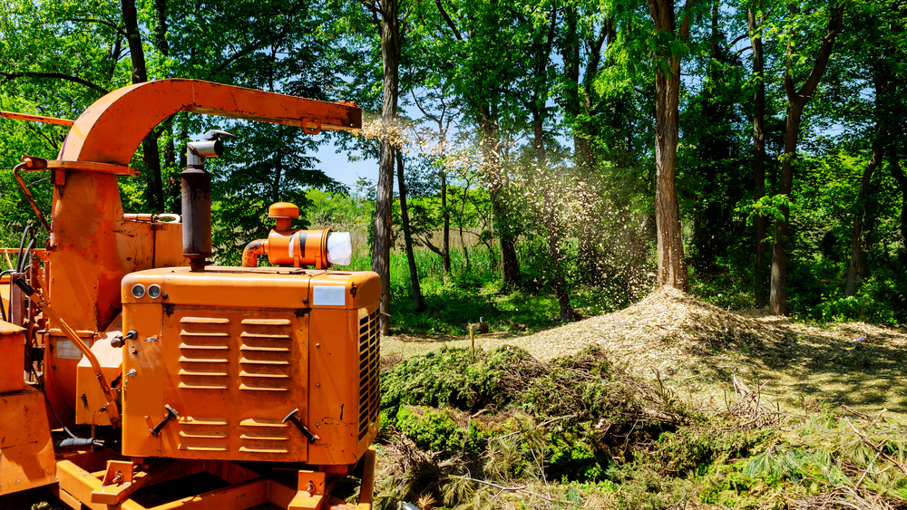 Forestry Mulching