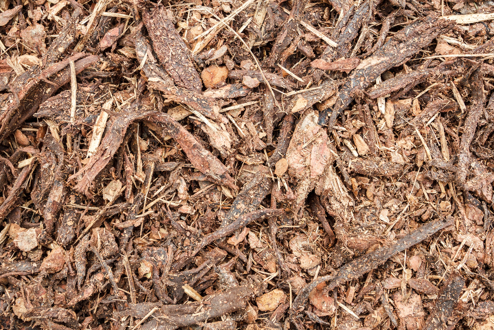Forestry Mulching Benefits Mulching Benefits