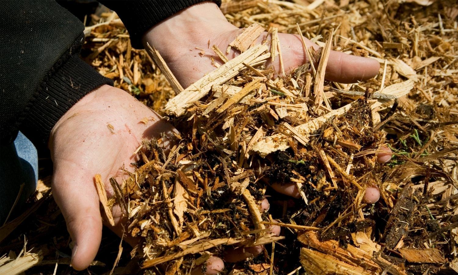 Forestry Mulching N GA