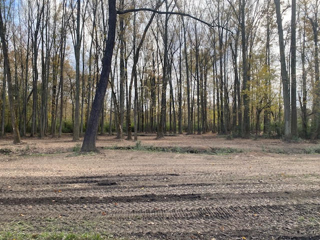 Dawsonville Forestry Mulching Service