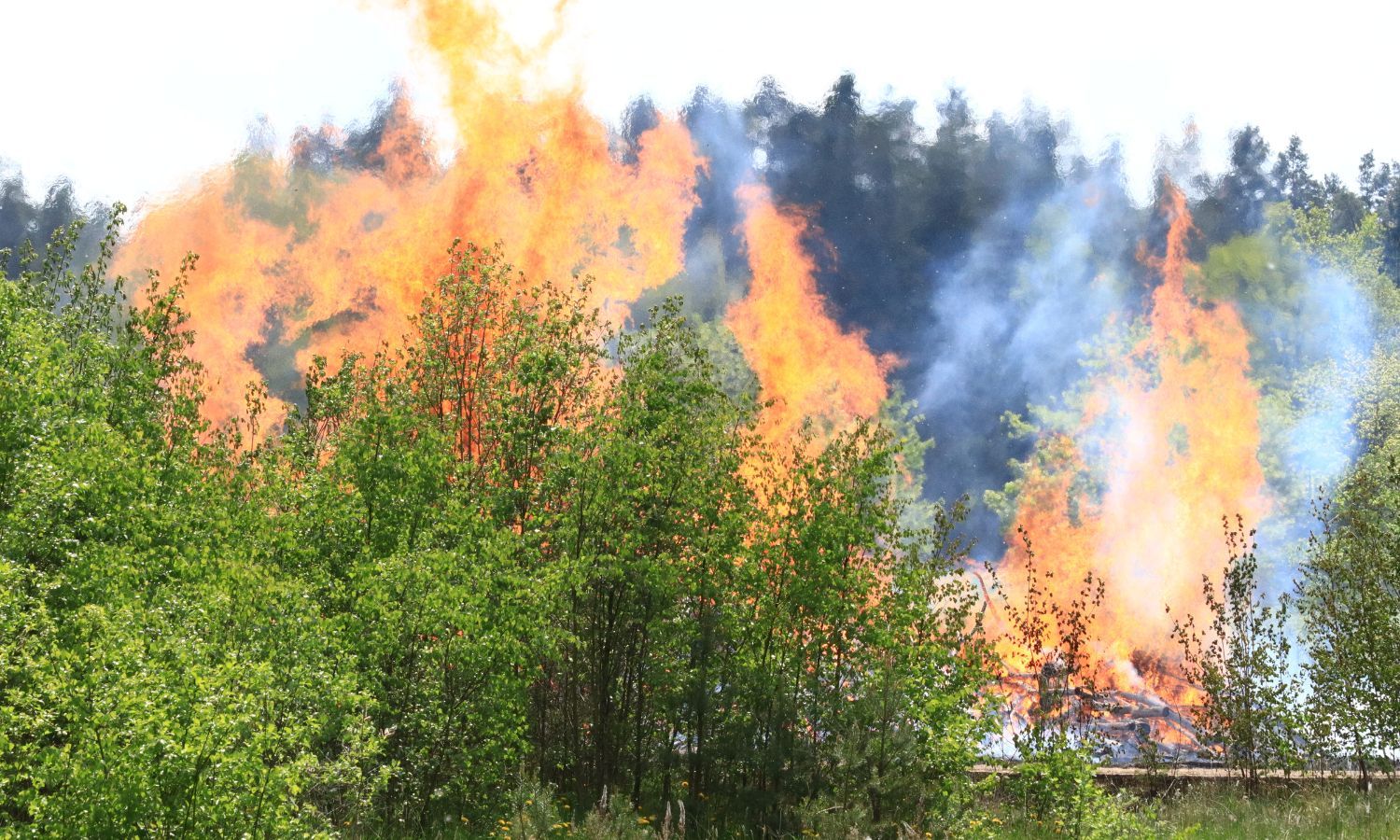 Reduce Fire Risk on Your Property