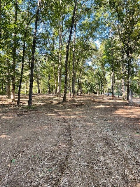 2 acres clearing in Dawsonville - After 