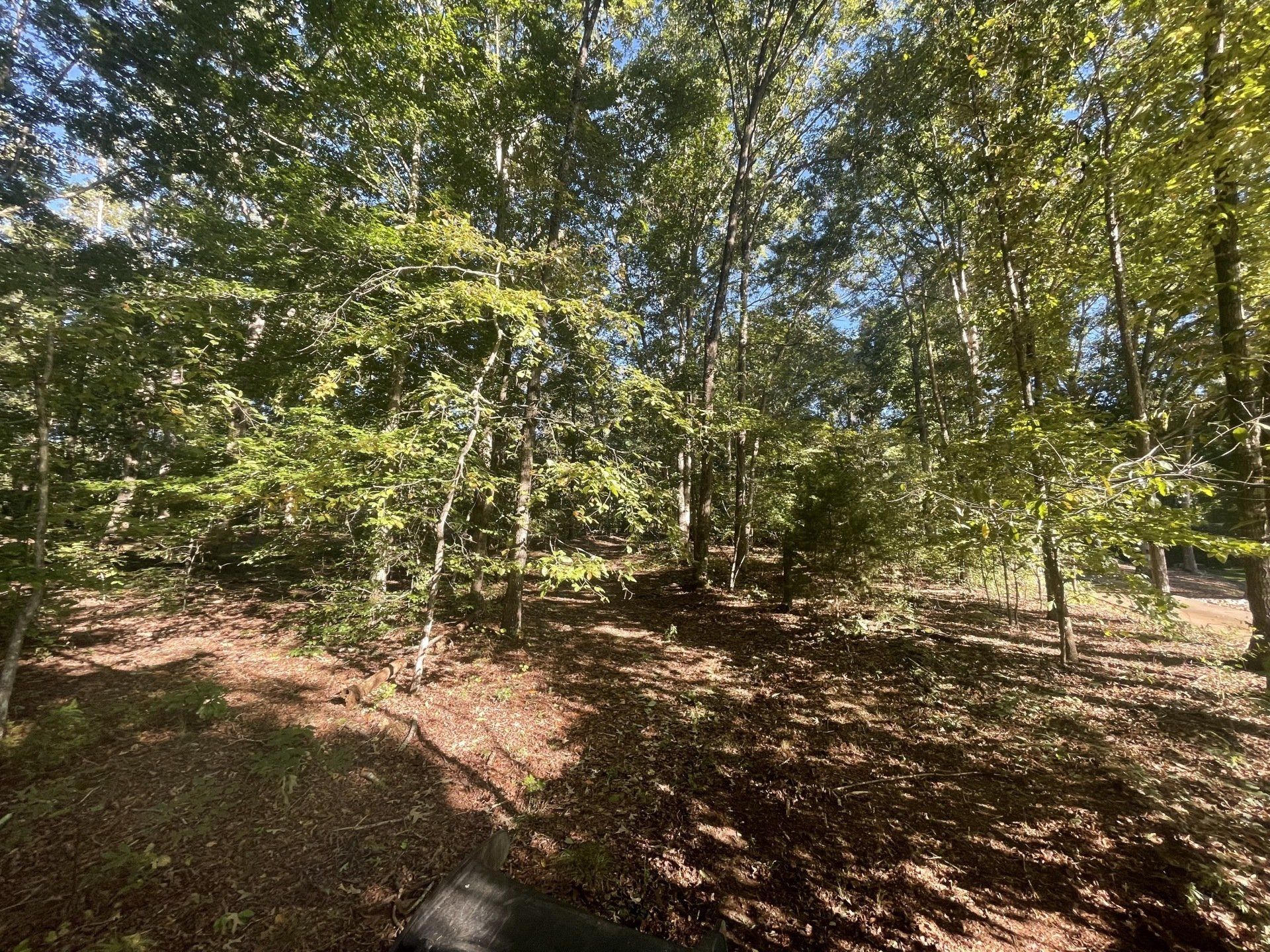 2 acres clearing in Dawsonville - before