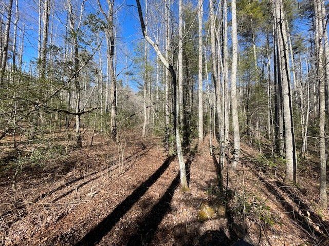 Forestry Mulching