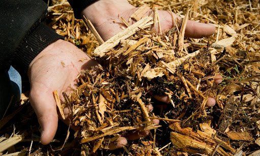 Forestry Mulching Benefits Forestry Mulching Benefits