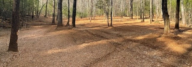 Land Clearing