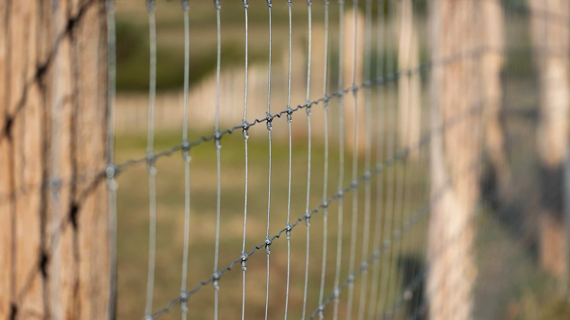 Close-up of a wire fence with blurred green field and wooden posts in the background