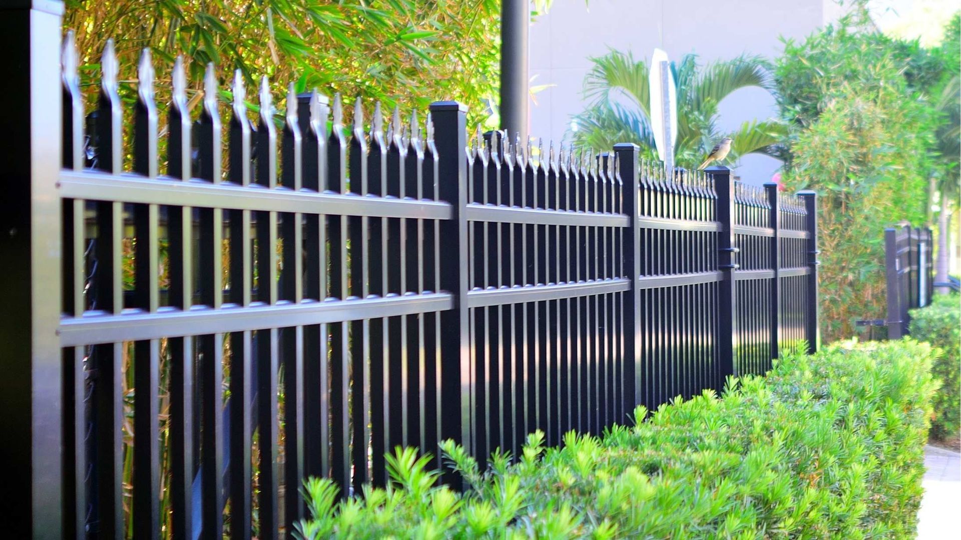Black metal fence beside a green hedge along a sunlit sidewalk with trees in the background