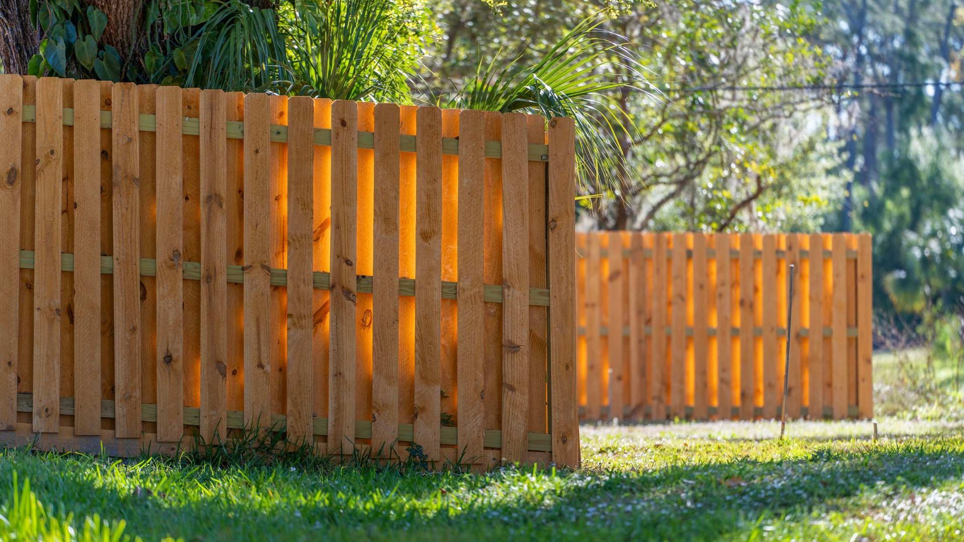 Two wooden fences in a sunny backyard with green grass and trees