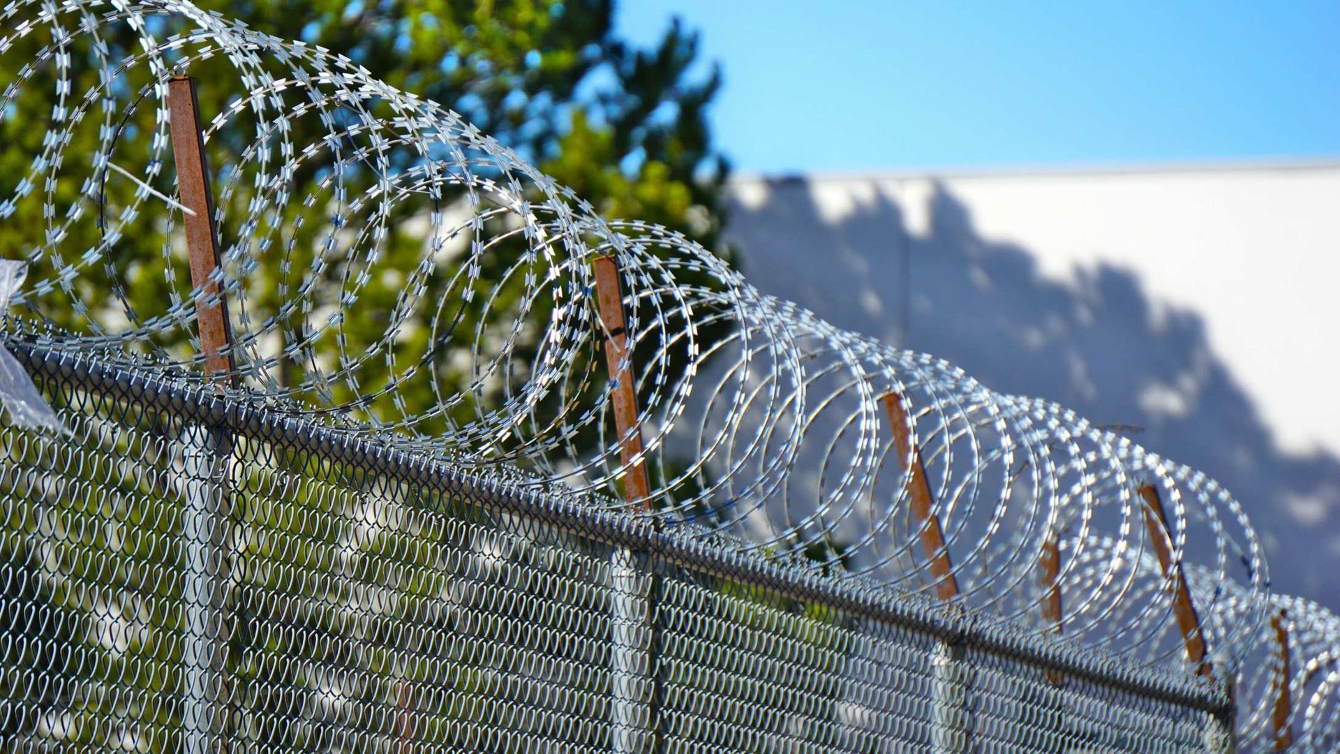 Barbed wire atop a chain-link fence with a snowy mountain in the background