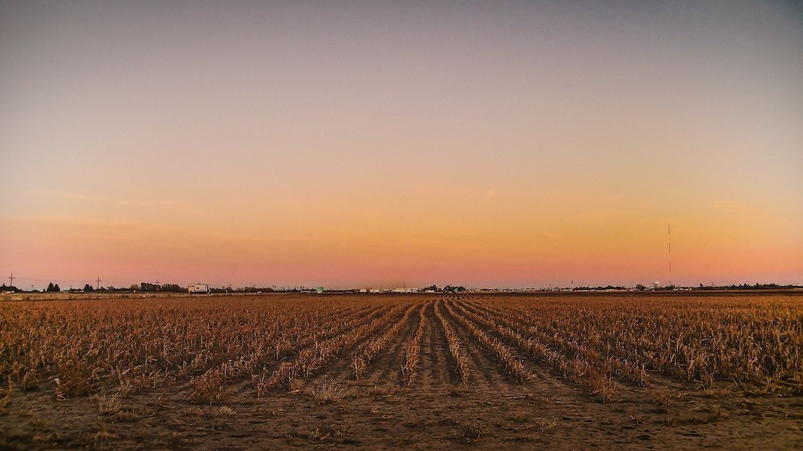 View of farm land