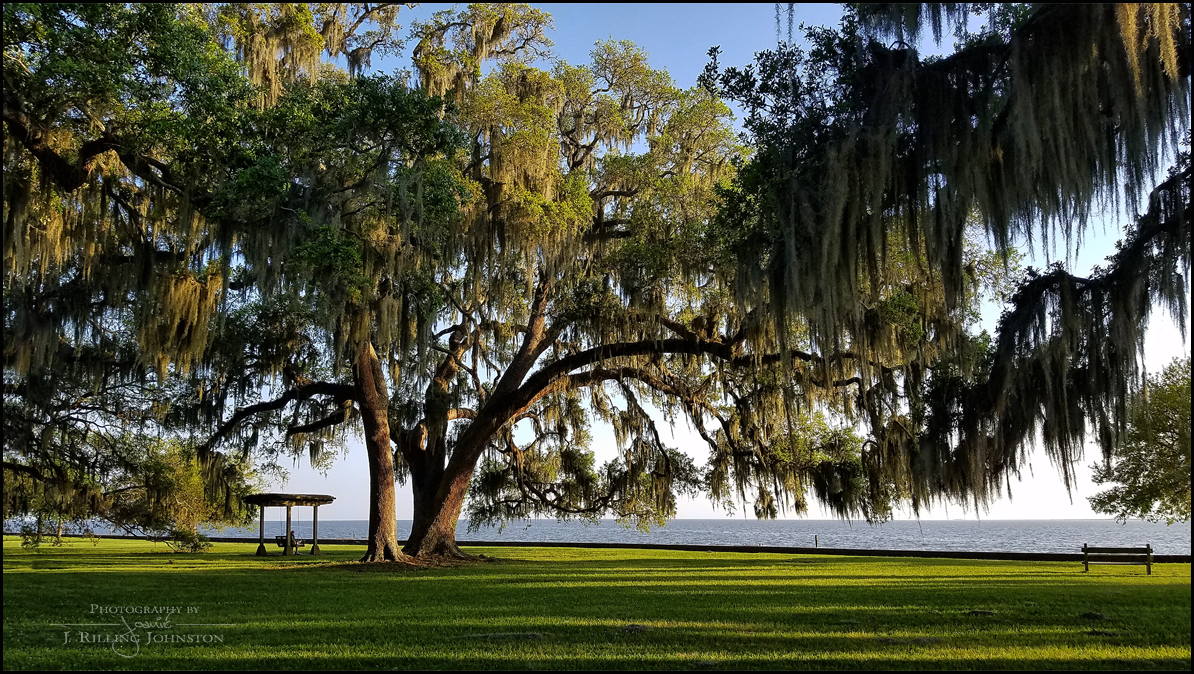 Mandeville, LA