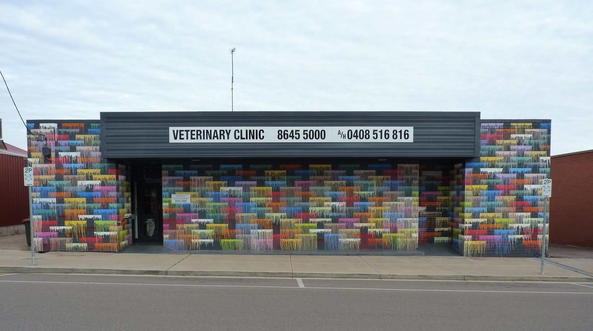 Veterinary clinic with colorful brick mural, text 