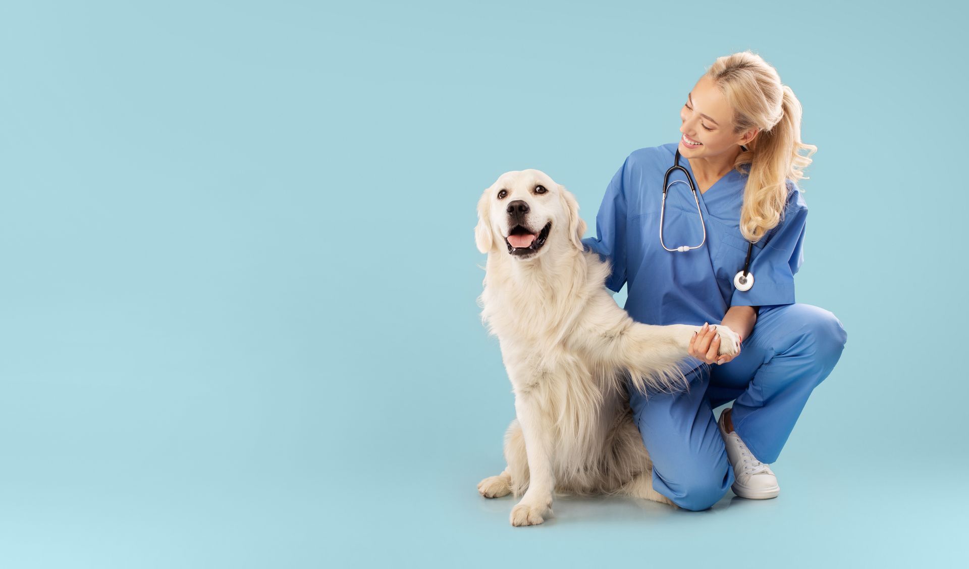 A happy nurse posing with a golden retriever, and holding the pet's paw at a vet clinic.
