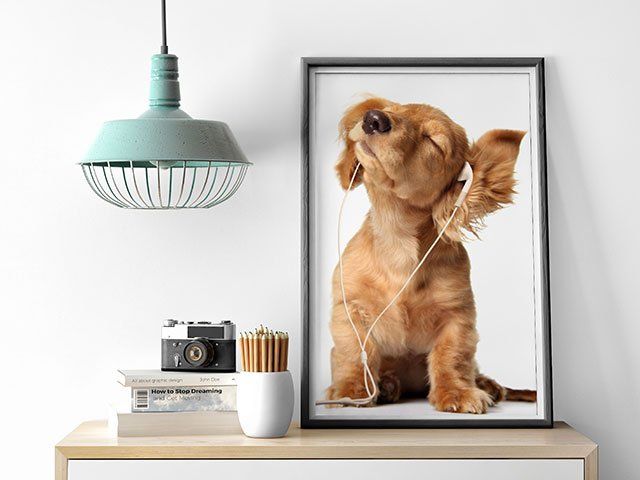 Shop Posters and Collages