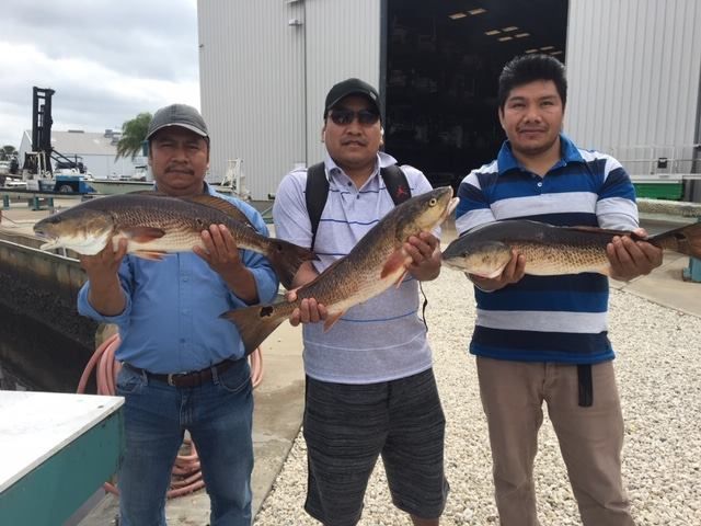 Three men holding large redfish near a dock and building.