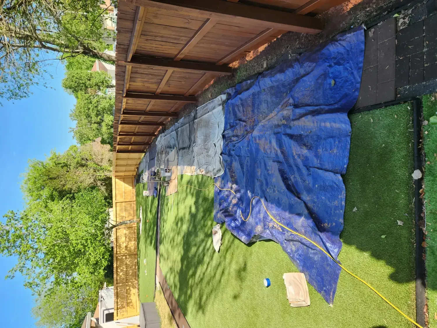 Backyard with green lawn, blue tarp, wooden fence, and trees under a clear sky.