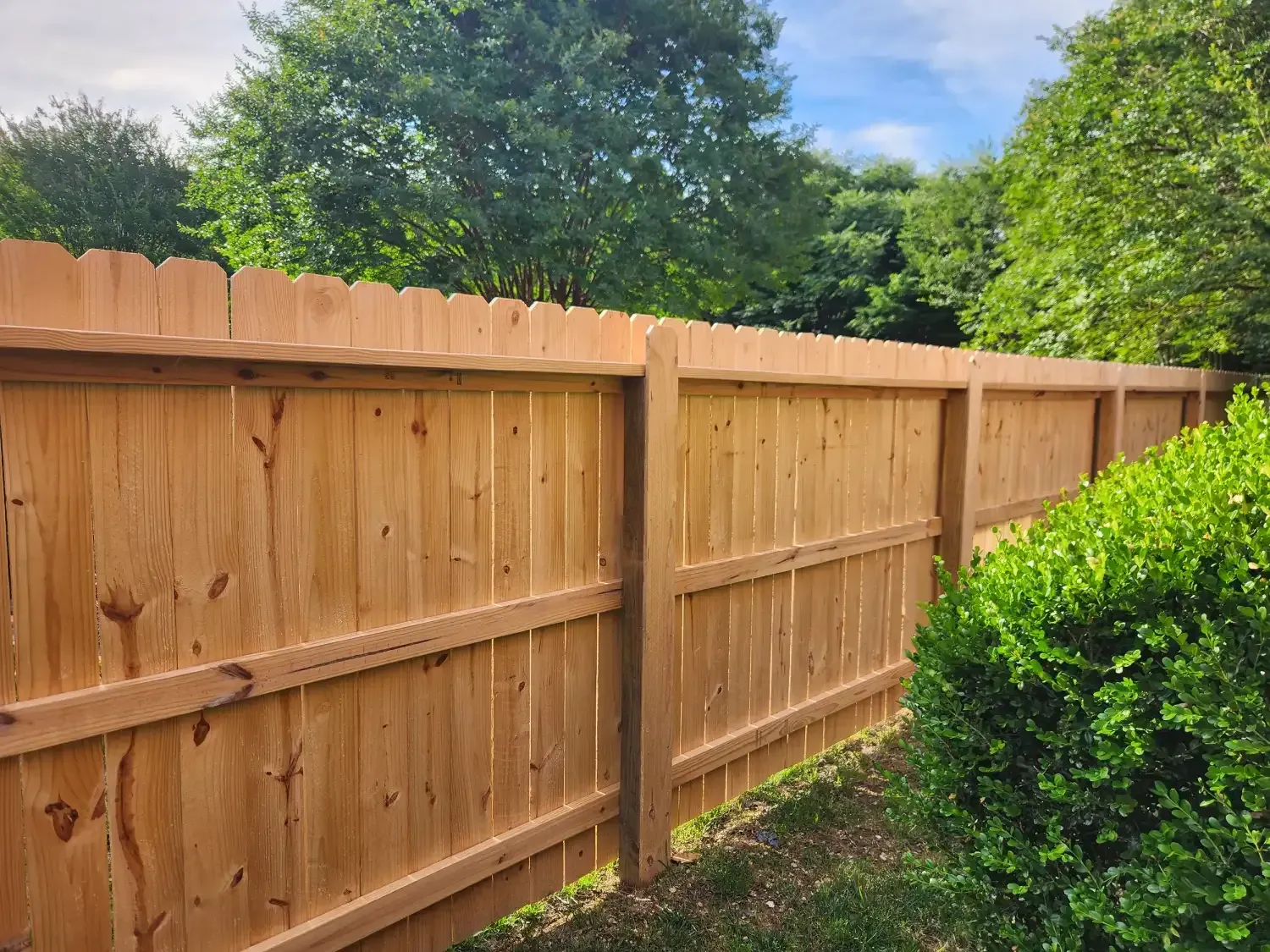 Wooden privacy fence with green shrubs and trees under a blue sky