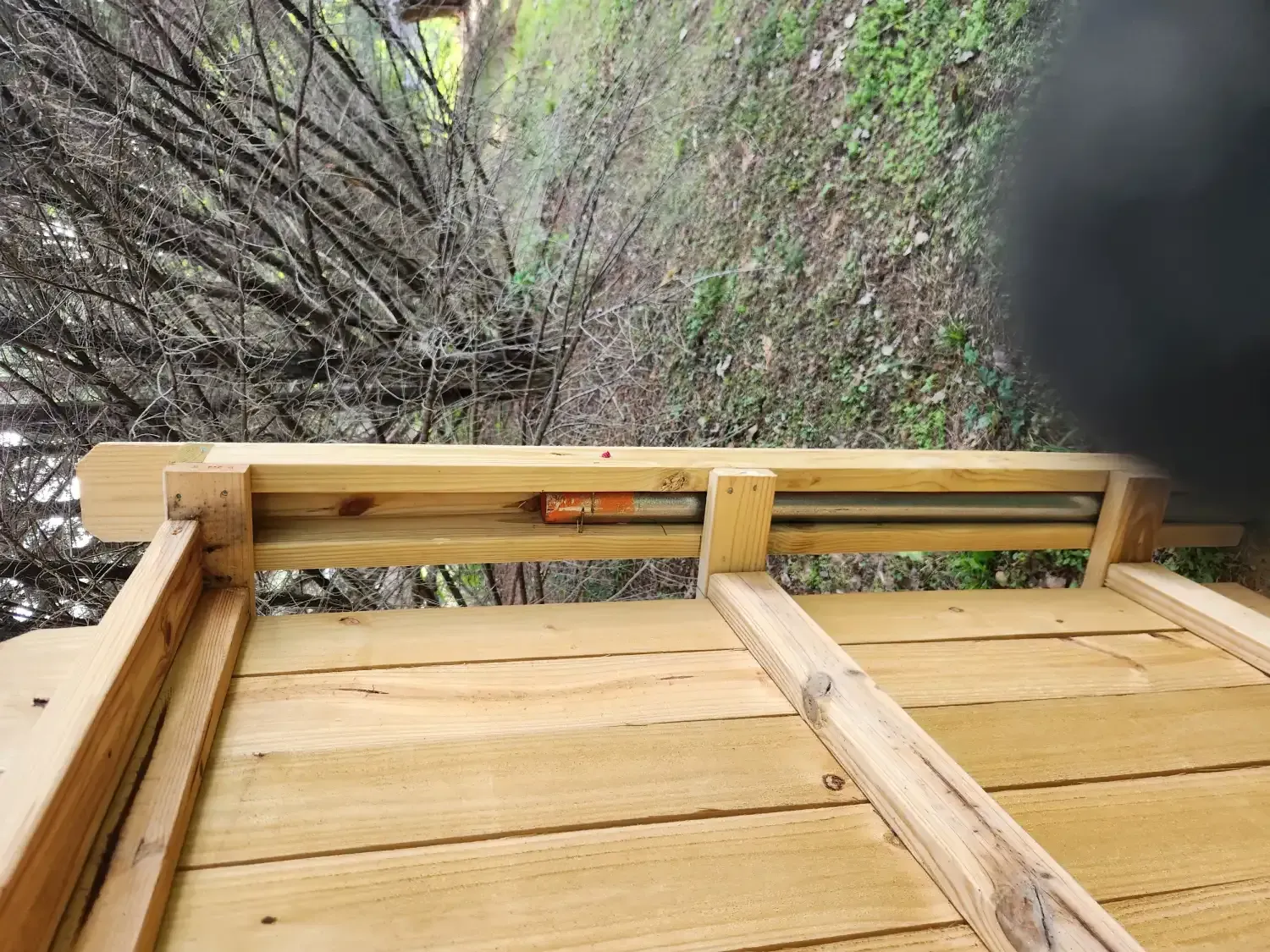 Wooden deck overlooking a yard with leafless trees and a blurred dark object at right edge