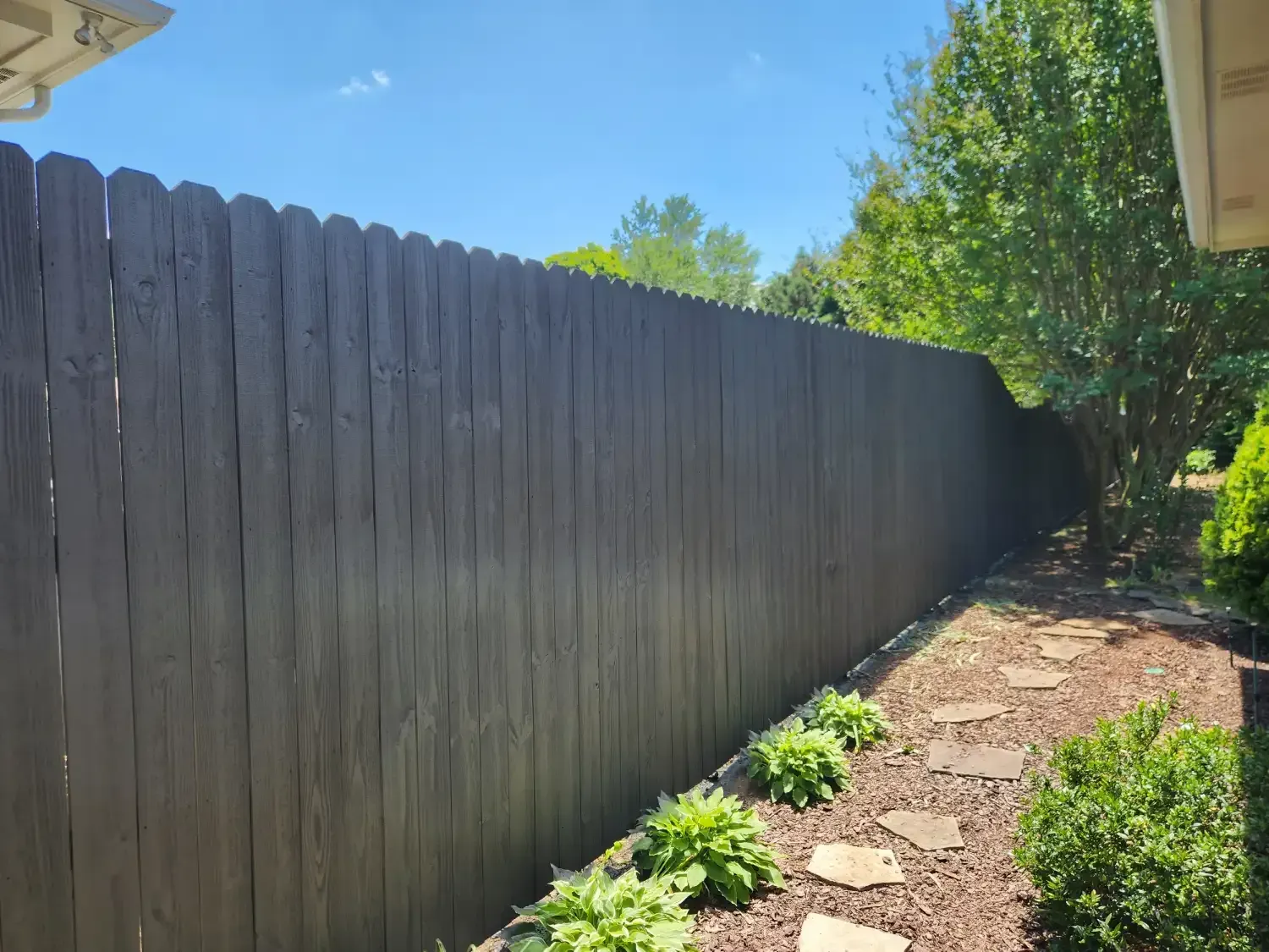 Tall dark wooden fence lining a narrow garden path with shrubs and sunlight
