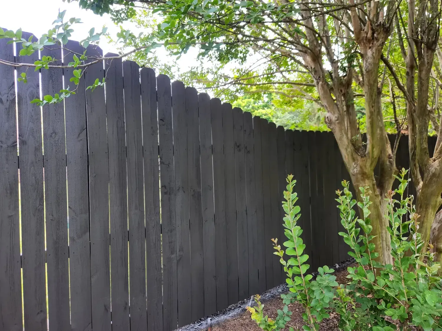 Dark wooden fence beside a leafy tree and green plants in a garden backyard