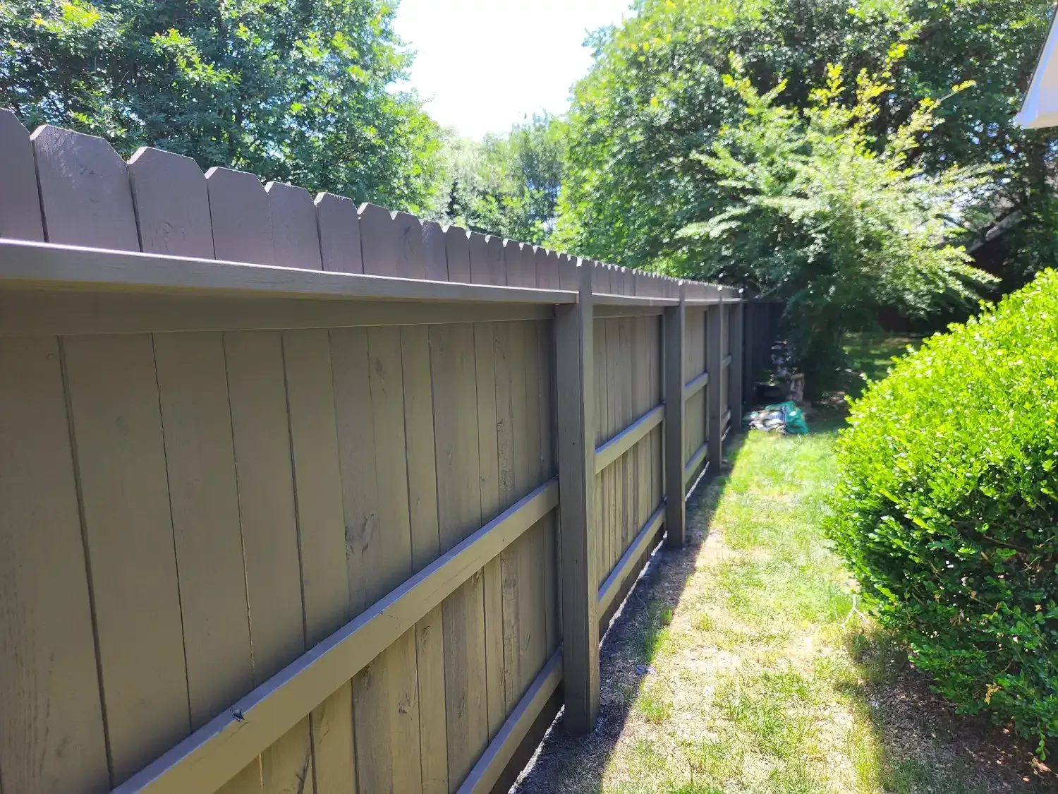 Narrow backyard path beside a wooden fence and green hedge, with trees and bright sunlight.