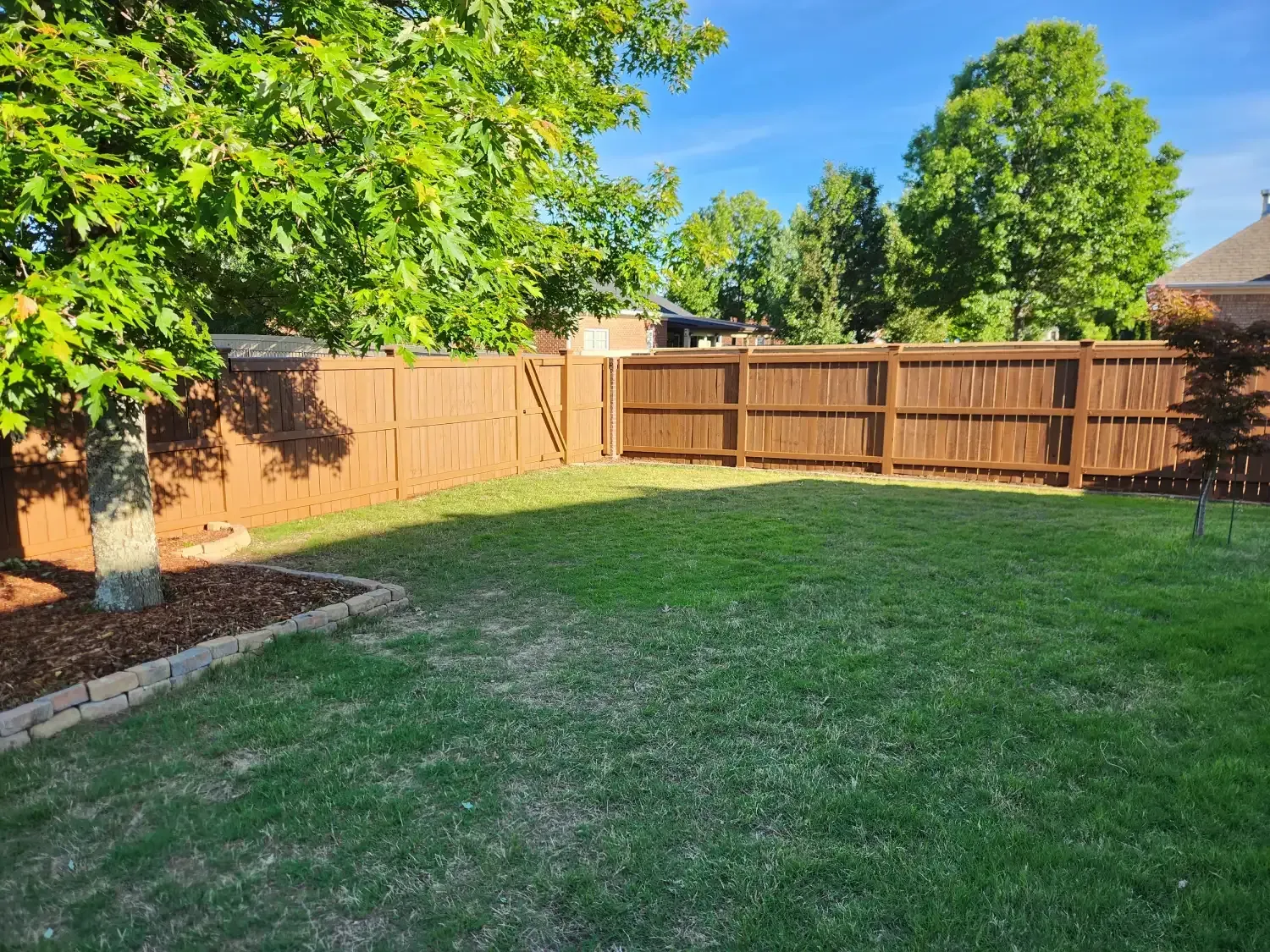 Sunlit backyard with green lawn, wooden privacy fence, and leafy trees